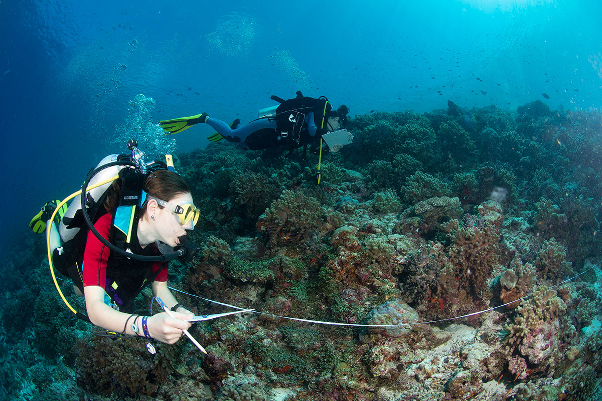 workshop alle maldive marhe