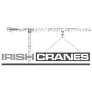 Irish Cranes