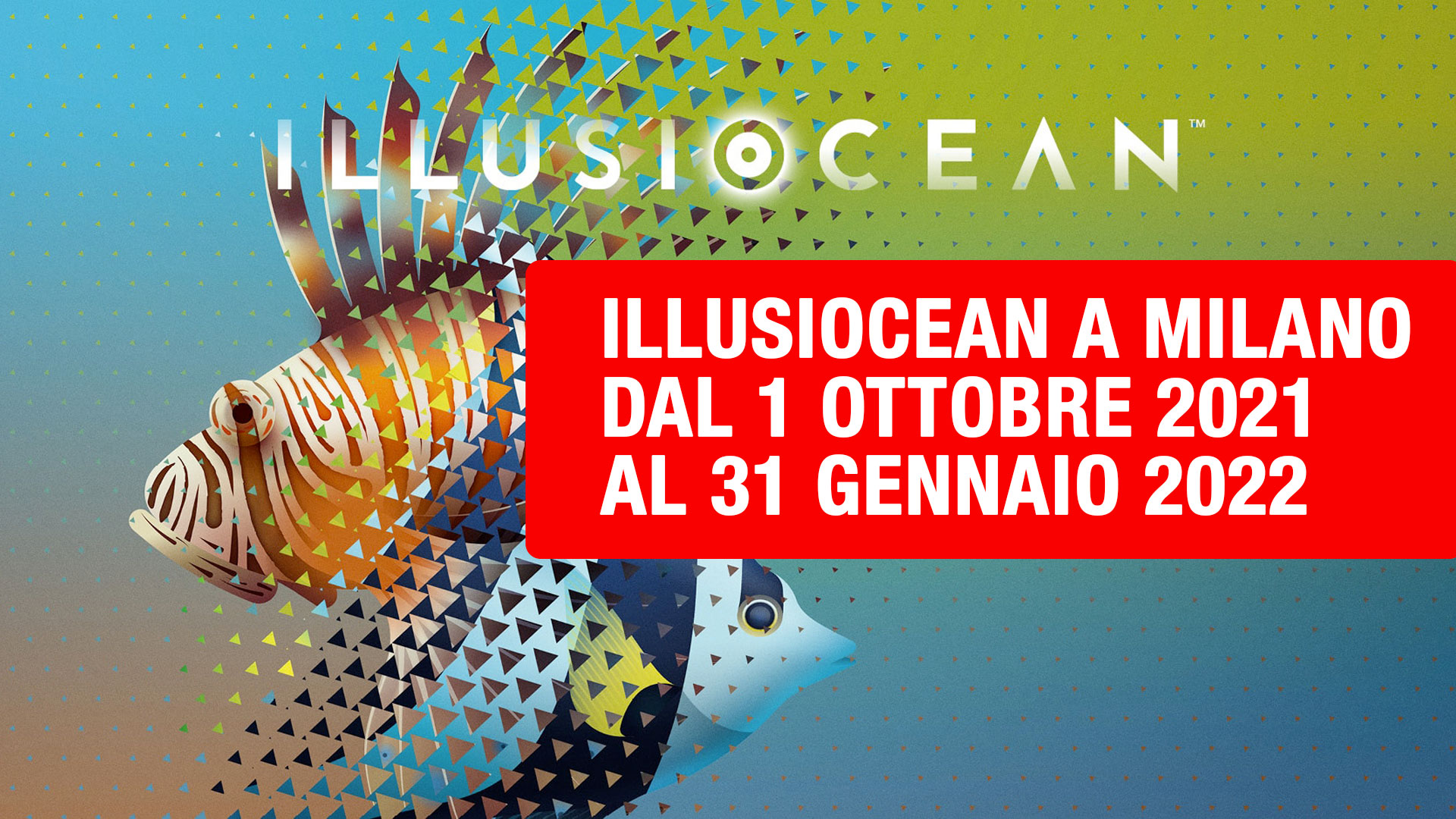 illusiocean milano