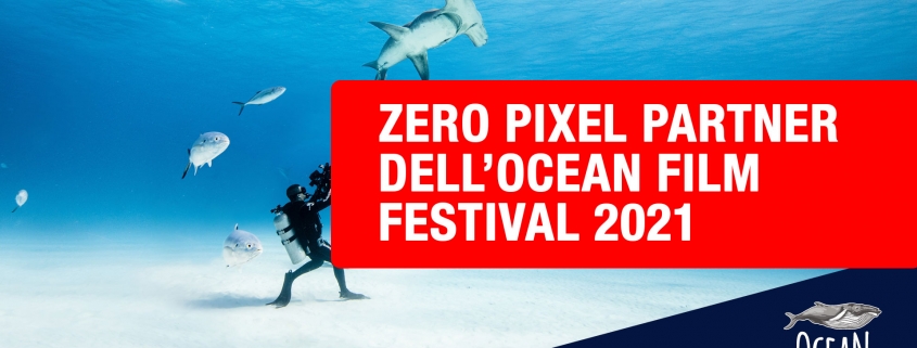ocean film festival 2021 zero pixel