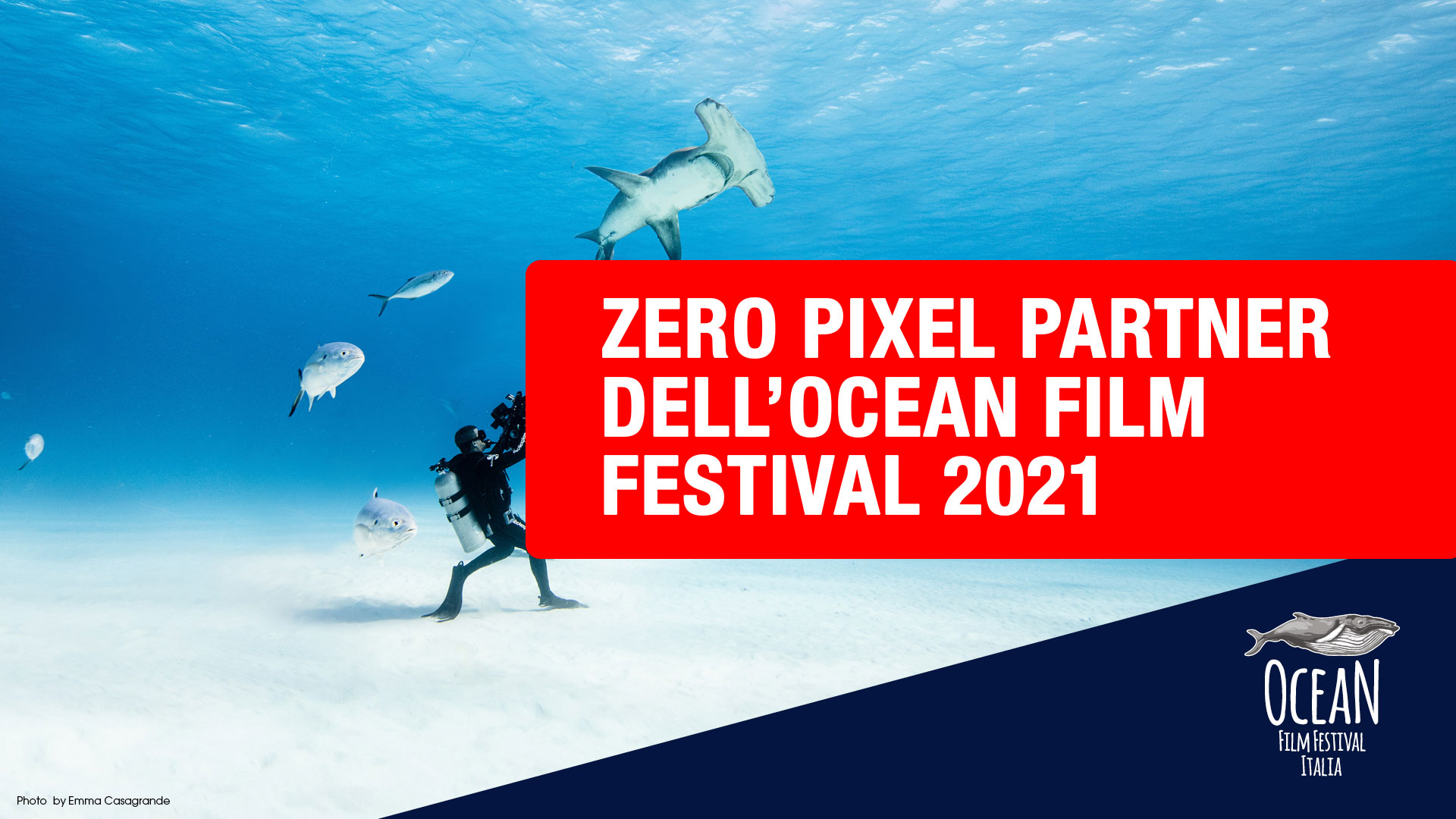 ocean film festival 2021 zero pixel