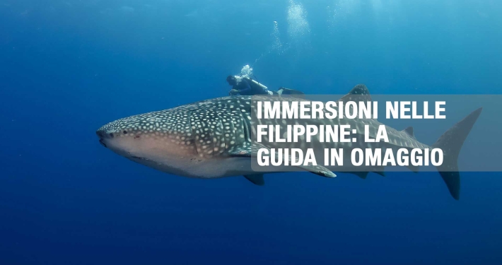 immersioni-nelle-filippine-
