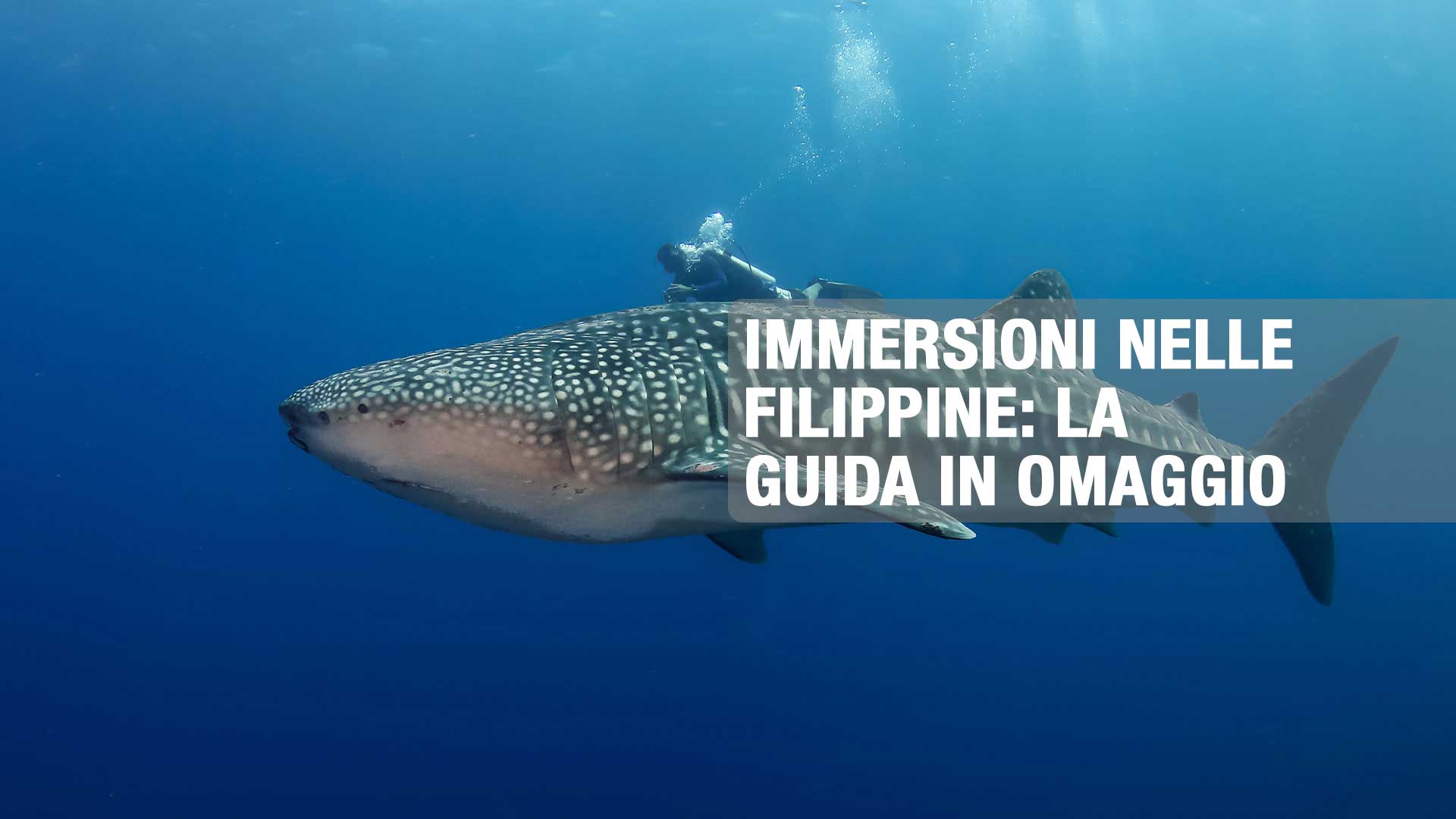 immersioni-nelle-filippine-