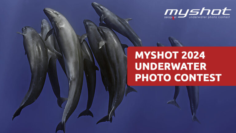 myshot fotosub contest concorso fotografia subacquea